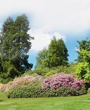 Frugiere Laurent image 2