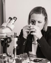 Bijoux Baume image 16