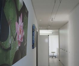 MediKos Dr. med. Patrik Lehner - Institut für medizinische Kosmetik , Allergiezentrum-SG Bild 5