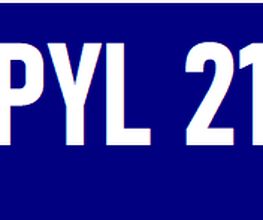 Pyl 21 image 2