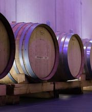 Cave des Bernunes SA Bild 7