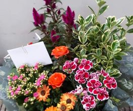 Au Jardin Fleuri image 18