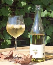 Gourmet Partner Bild 2