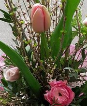 Blumen Am See Hegemann Bild 1