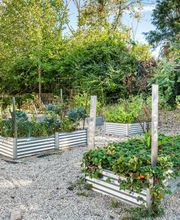 Columns on Wetherington Apartments image 5