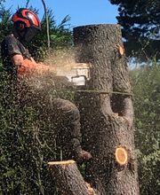 Guerro Elagage image 16