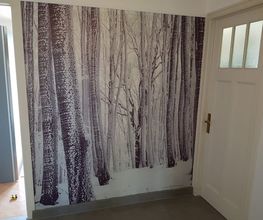 Goy Plâtrerie-Peinture Bild 3