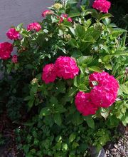 Bildungszentrum Burgbühl Bild 5