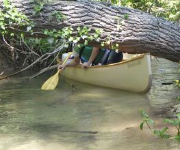 Canoe Diffusion image 10