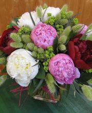 Maison NECTOUX Fleurs et nature image 7