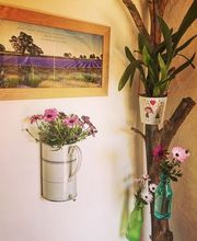 Jardin de Palme image 2