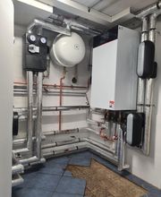 Michael Krause Bild 7