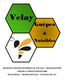 Velay Guêpes & Nuisibles
