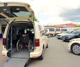 Taxi - Hof Krüger Bild 5