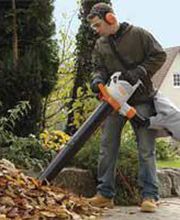 Stenger Manfred Bild 3