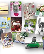 F B Diffusion SARL image 5