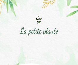 La Petite Plante image 19
