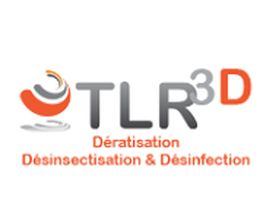 TLR3D image 10