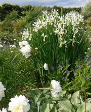 Berjamin Ets image 17