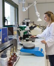 Lab Service image 1