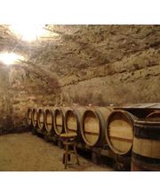 Marsanne Jean Claude image 3