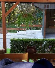 Pfötchen-Date Bild 8