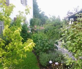 Brunner Paysagiste Bild 11
