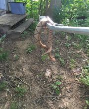 Critter Control of Central Missouri image 14