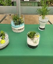 GIARDINI DOS SANTOS CANIÇO Bild 6