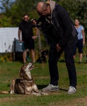 Agil'Canin 36 image 4