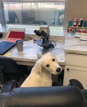 Pet's Choice Animal Hospital image 12