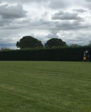 Ribera Olivier Paysages image 7