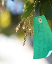 City of Hope Orange County Lennar Foundation Cancer Center image 6