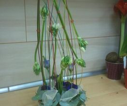 Floréal image 5