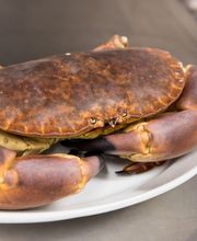 Gallery Professionale