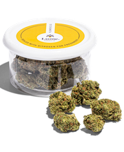 Lume Cannabis Dispensary Evart, MI image 4
