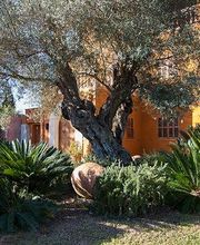 Jardinería Son Servera imagen 8