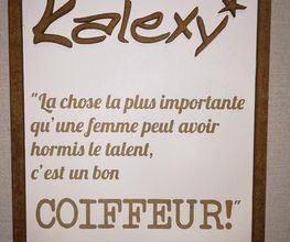 Kalexy image 3