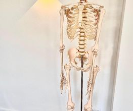 Nord-Osteopathie Bild 4
