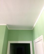 Munoz Olivier image 5