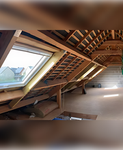 Izol Habitat image 1