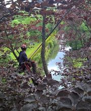 Arbor Environnement image 6