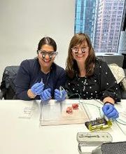 Drs. Pierce, Crabtree, and Deshmukh Periodontics & Sleep Dentistry image 12