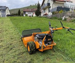 Gartenpflege & Landschaftspflege Sommer Bild 2