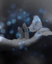 Sophro&Agua16 image 1