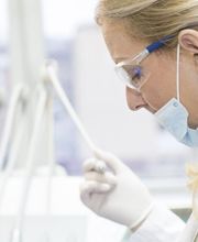 Eclipse Consultants Genève Bild 9