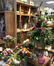 Blumen Interfleur Floristik & Wohnaccessoires Bild 11