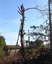 Bouche Nicolas image 11