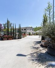 Gallery Professionale
