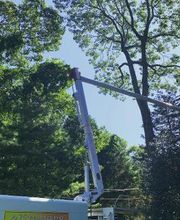 Climbers Tree Care Specialist, Inc. image 16